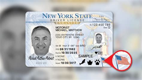 rfid chips in driver& 39|state issued enhanced driver's licenses.